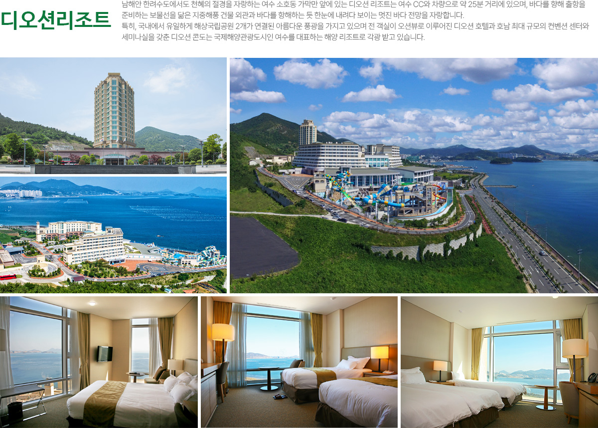 디오션골프