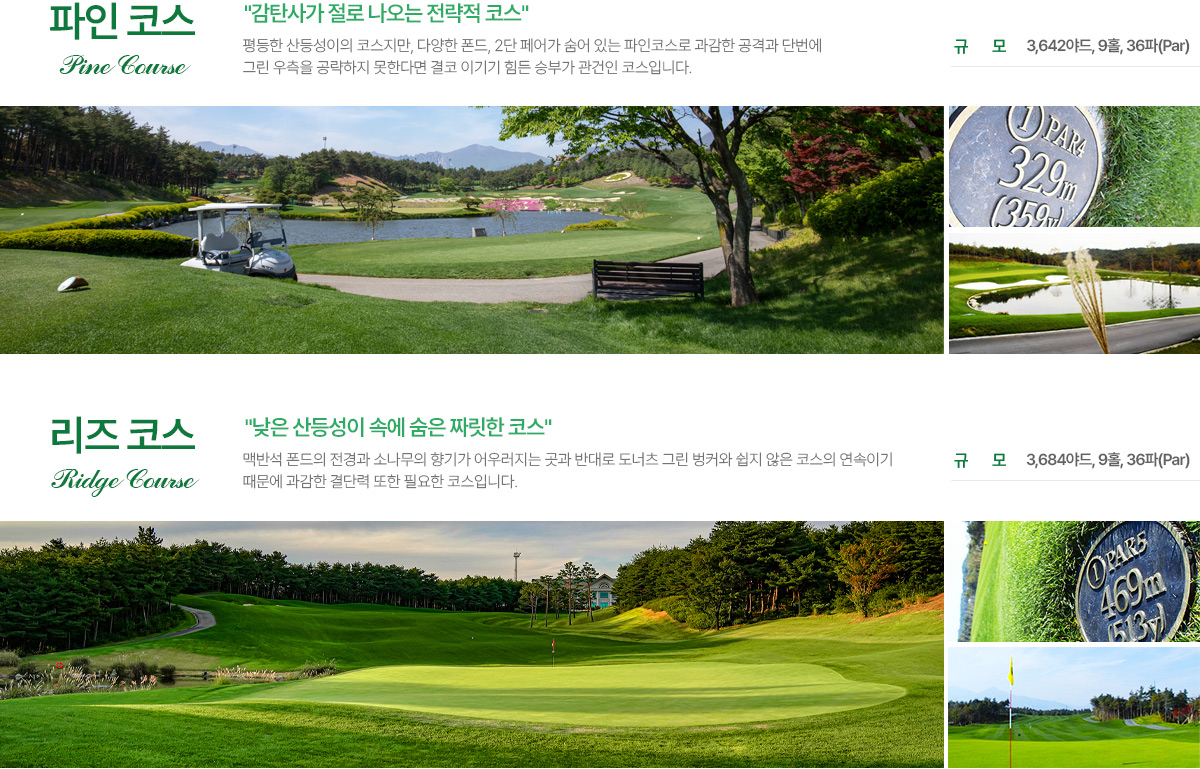 파인리즈cc